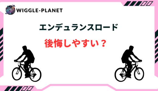 エンデュランスロード 後悔